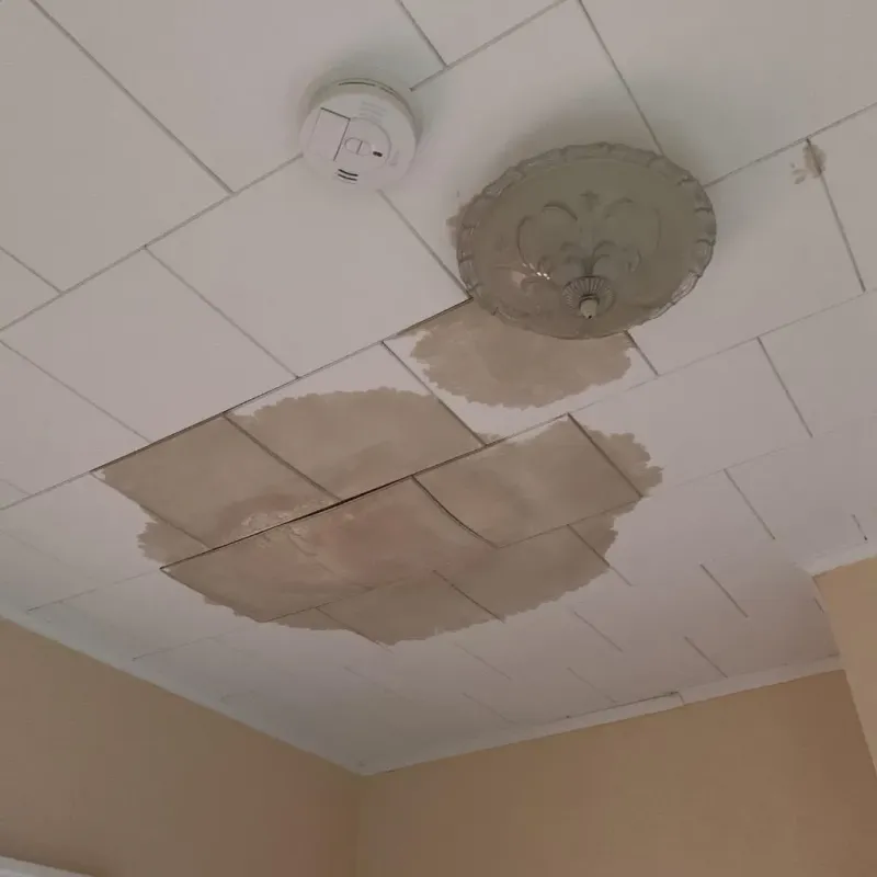 Ceiling Water Damage Repair in Bryan County, OK