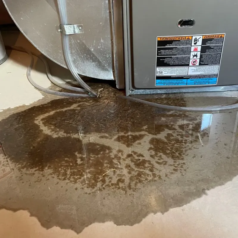 Pipe Burst and Leak Restoration in Bryan County, OK